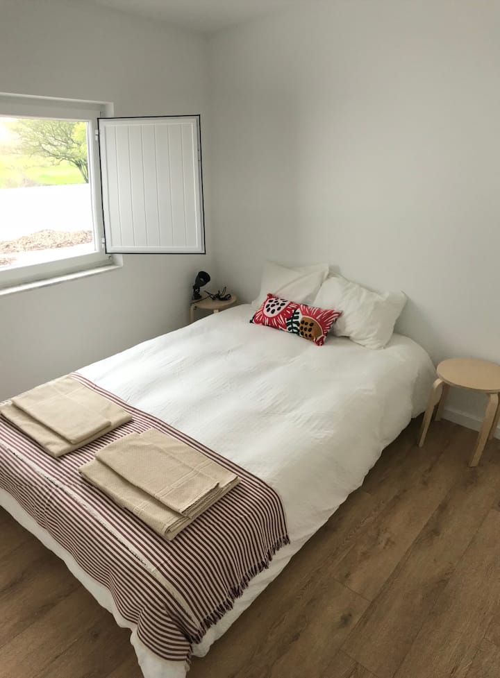 Back Room/ Back Room