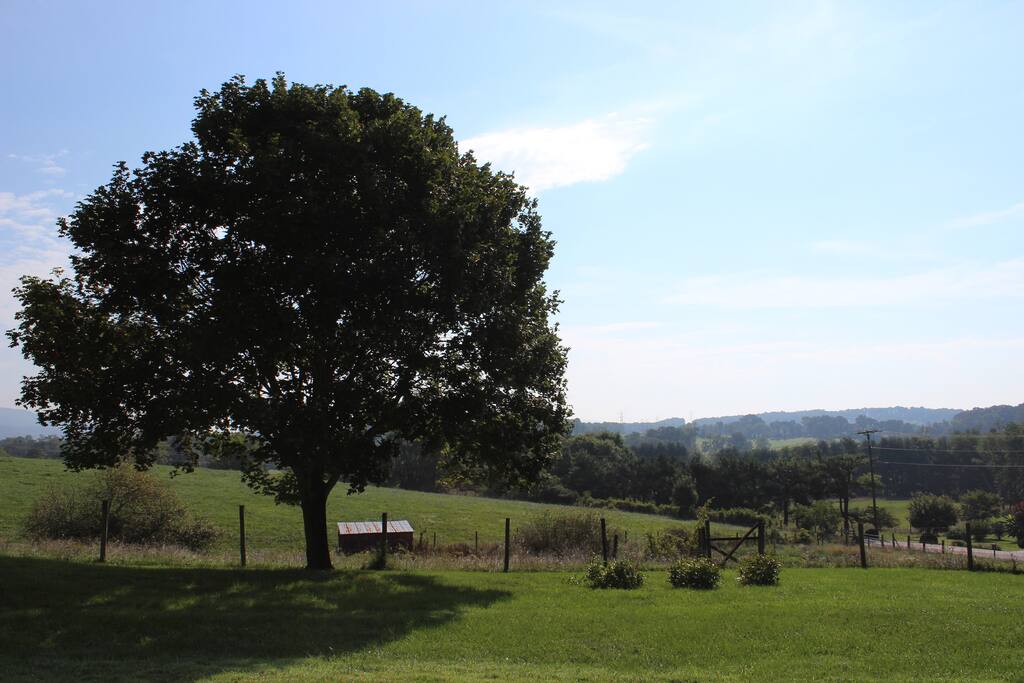 Beautiful views