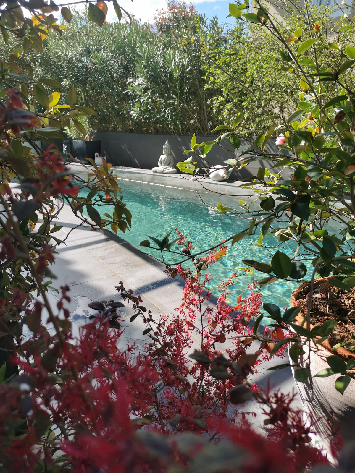 A serene pool area is framed by lush greenery and colorful flowering plants. The clear water reflects the sunlight, while a tranquil stone figure is positioned against a dark wall, enhancing the peaceful ambiance of the space.