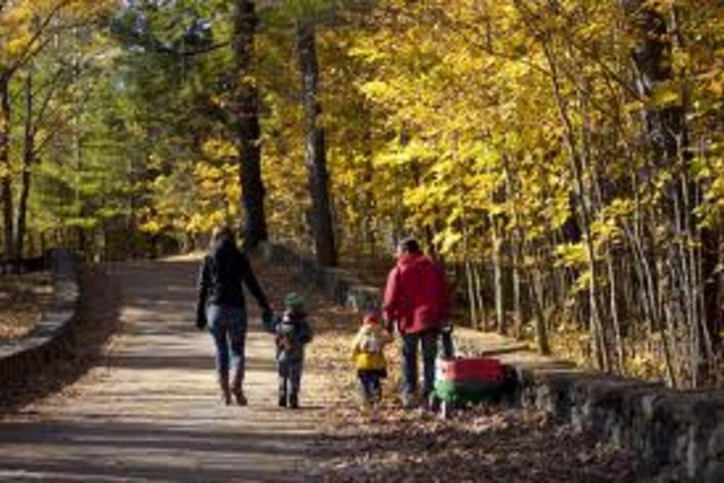 Gatineau Park