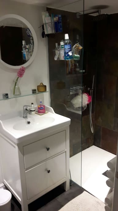 Shower and toilet