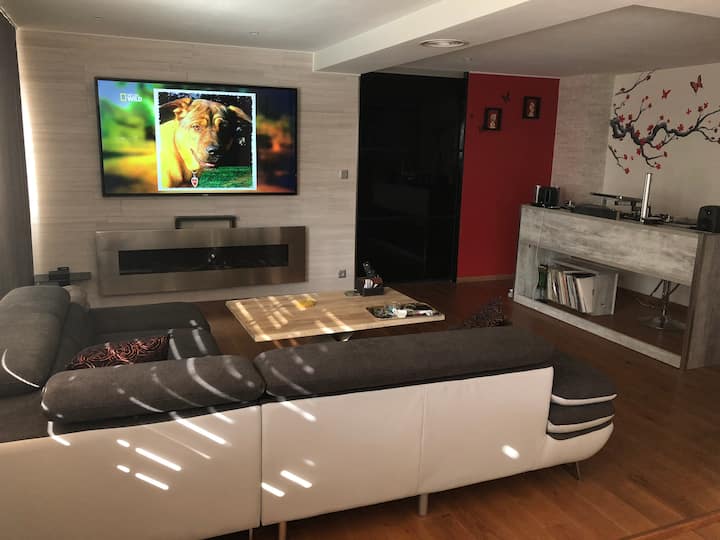 Appartement De Rêve Au Centre D’annecy (Loft 80m2) - Seynod