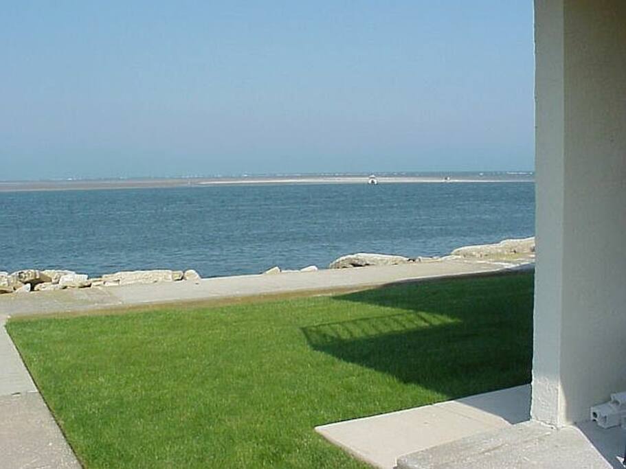 View from Patio