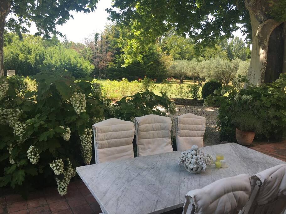 Espace de partage et détente en extérieur