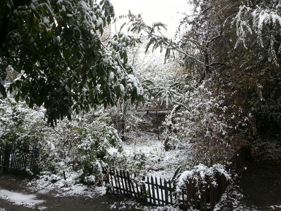 garden winter time
