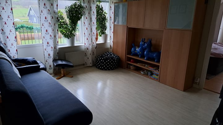 Დიდი მისაღები ოთახი აივანზე გასასვლელით. Გასაშლელი დივანი 160". 