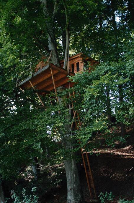 Baumhaus auf 10m Höhe