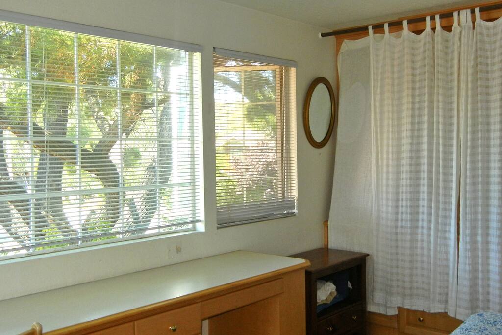 Lots of light and fresh air!