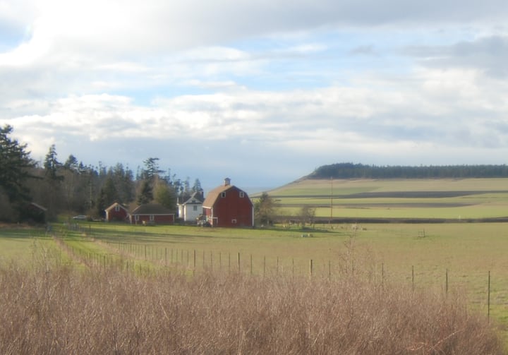 Historic Farm House sleeps up to 10 Houses for Rent in Coupeville