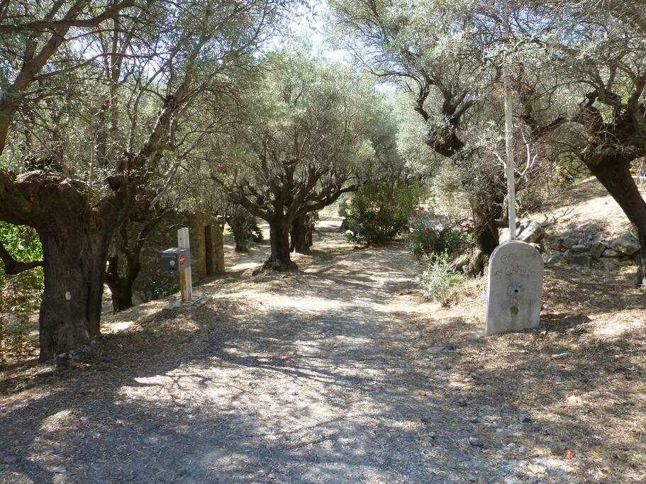 Entrée de la propriété