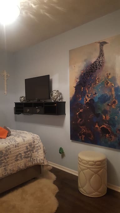 tv and peacock picture