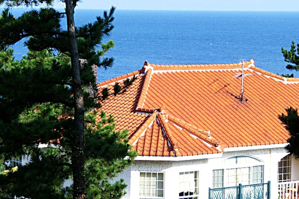 Located right in front of Jeju's Ocean (바다 바로 앞 위치)
