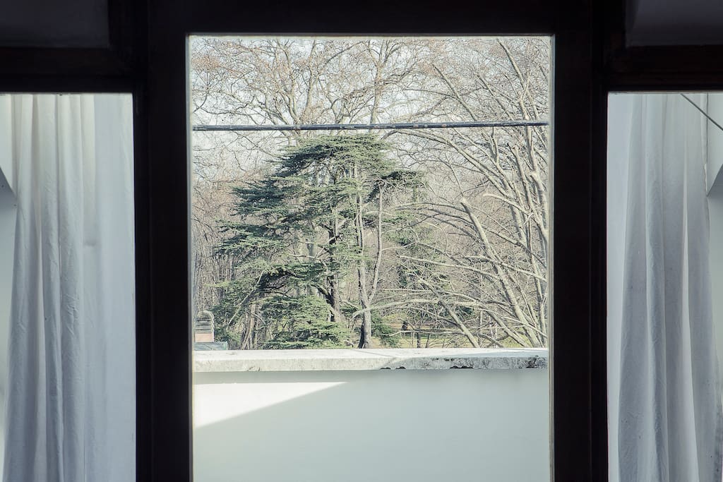lanscape from inside