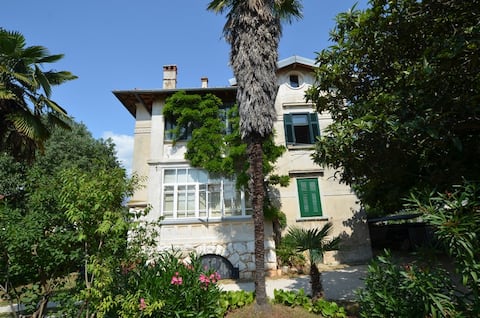 Successful Airbnb property: villa venerandi in Rovinj
