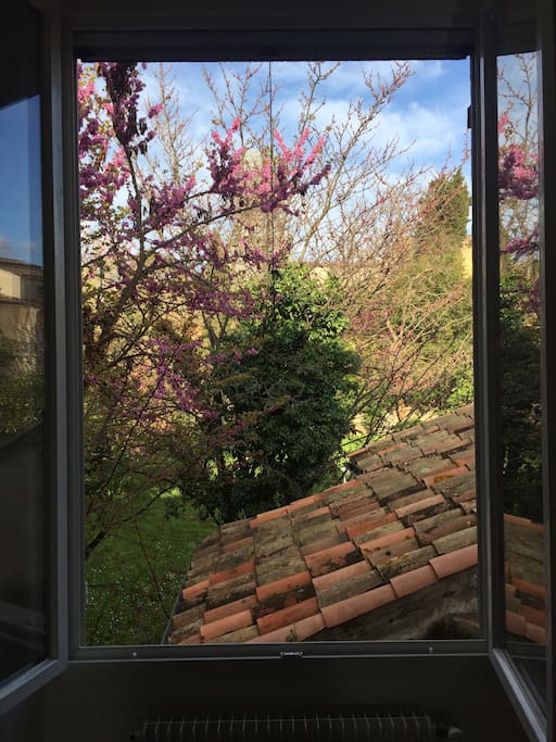 Jardin/ Garden