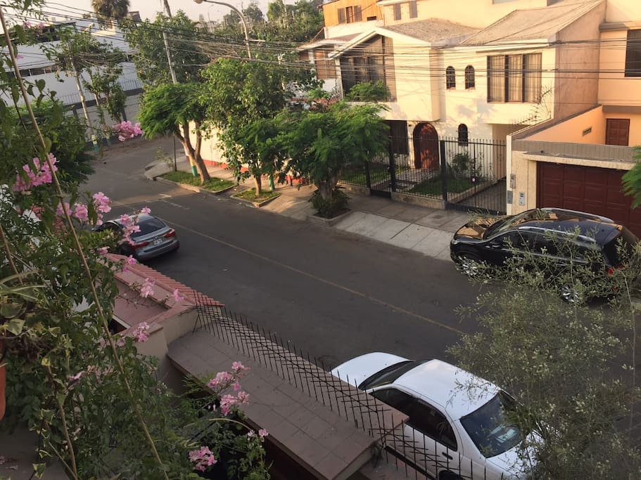 Street view