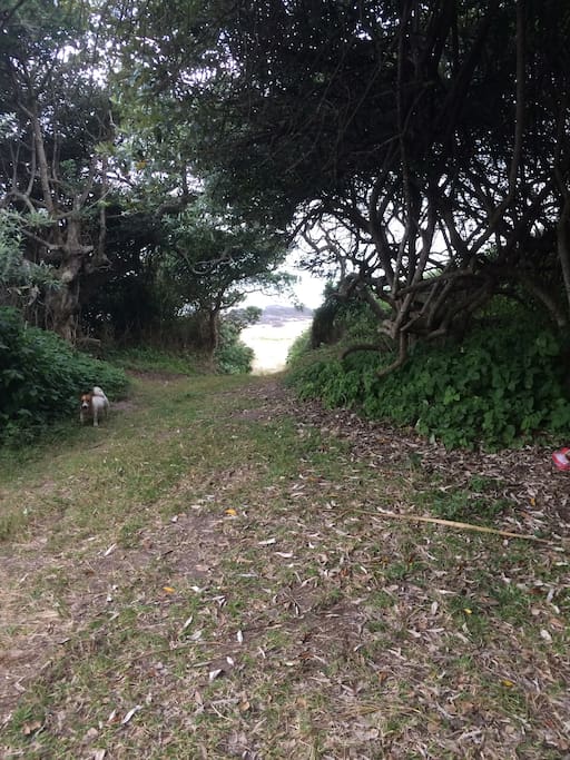 Natural forests are a feature of this beautiful property