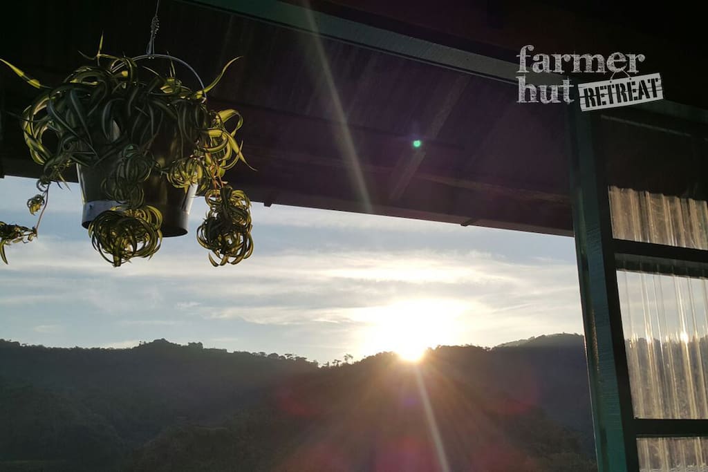Have you ever dream of waking up to the golden rays of sun?