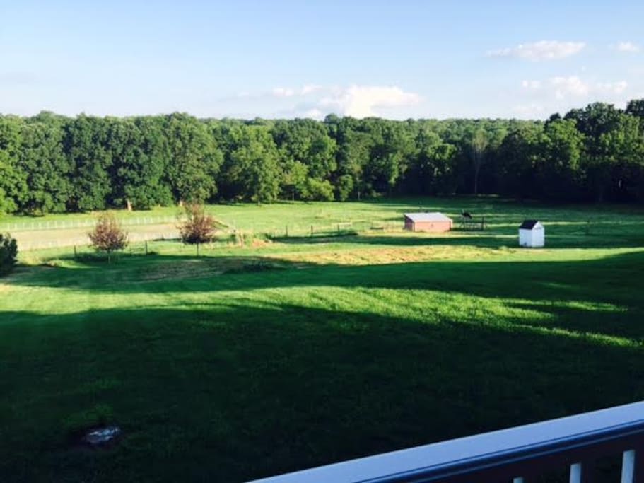 Gorgeous pastoral views