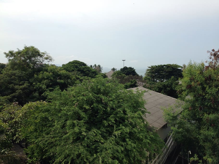 sea view