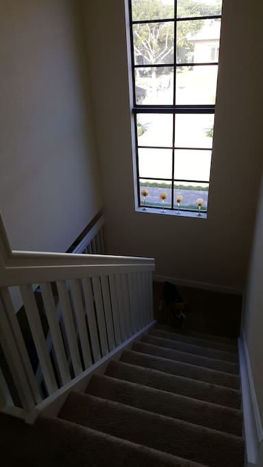 Stairs to your room