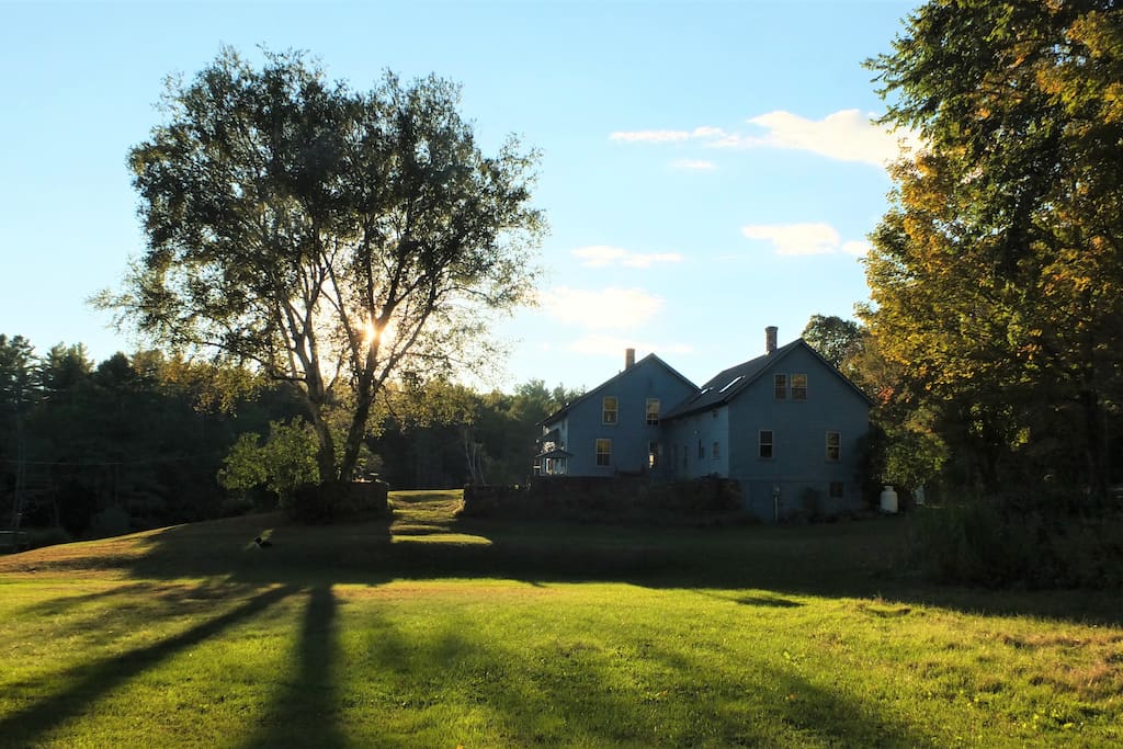 Summer on the farm