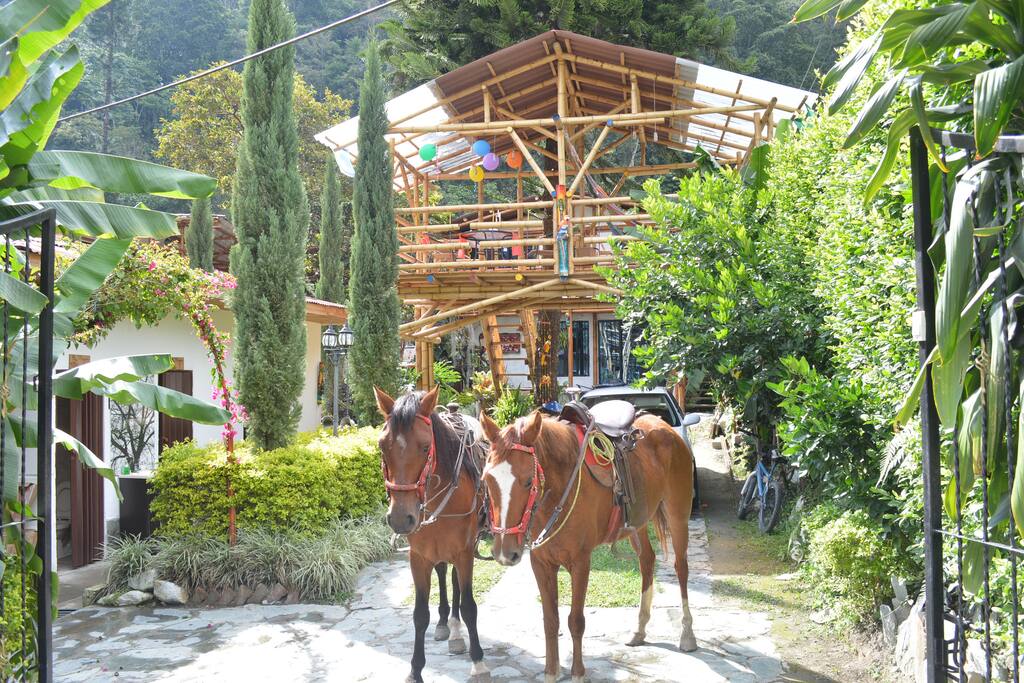 Servicio de caballos