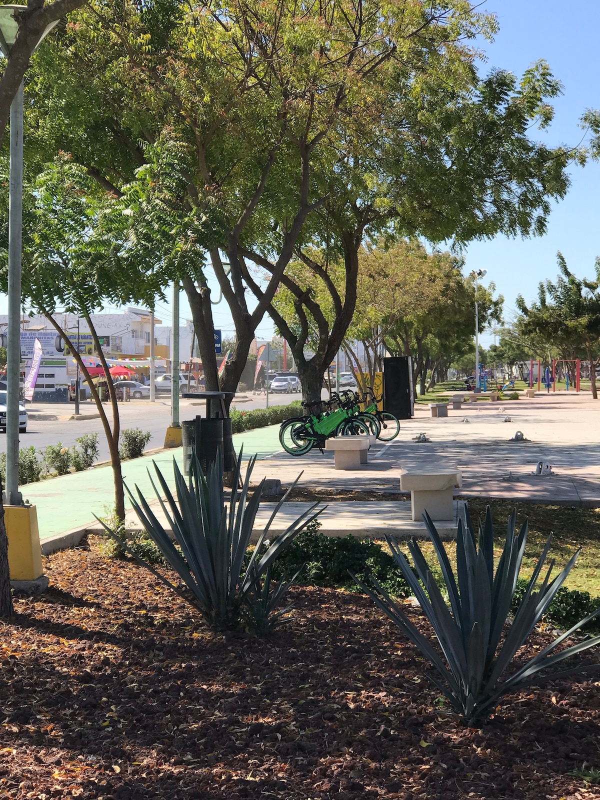 A wide pathway lined with trees extends into the distance, with various decorative plants positioned along the sides. Park benches are placed intermittently, and a bicycle is seen parked near a stand. The area is well-lit and open, suggesting a vibrant outdoor space.