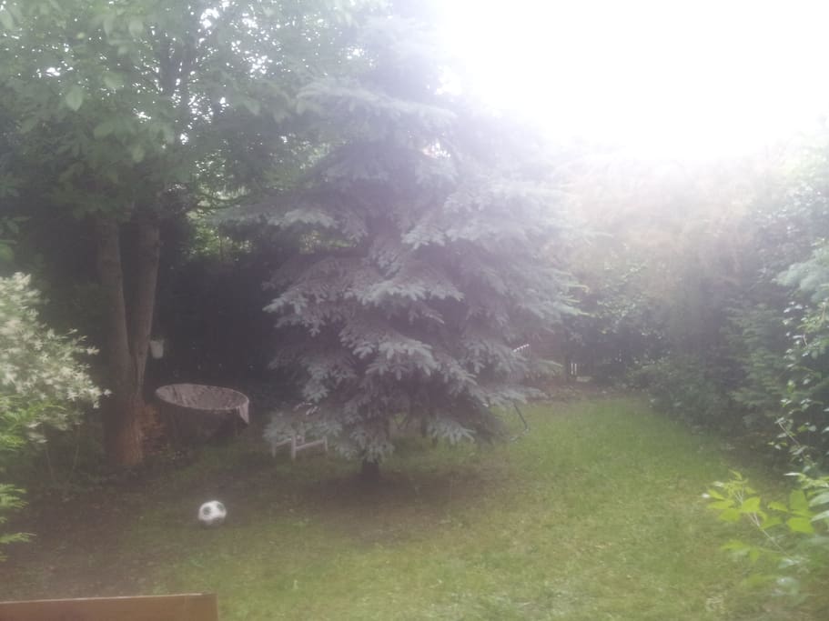 20m2 ogródek z grillem/ garden with grill :)