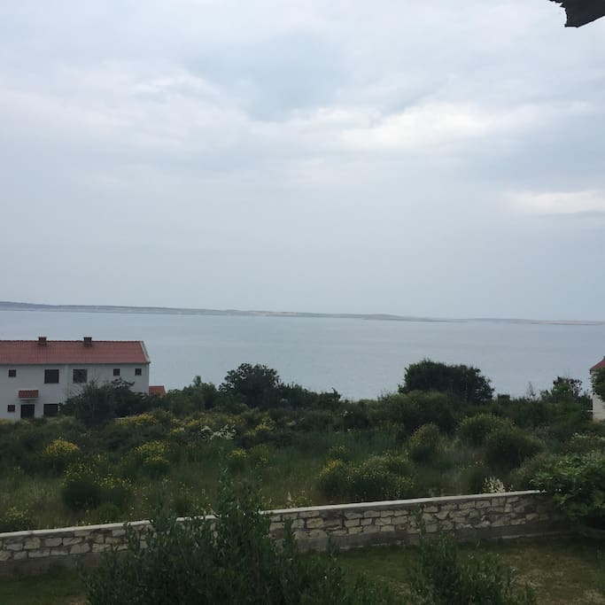 View from the balcony_1