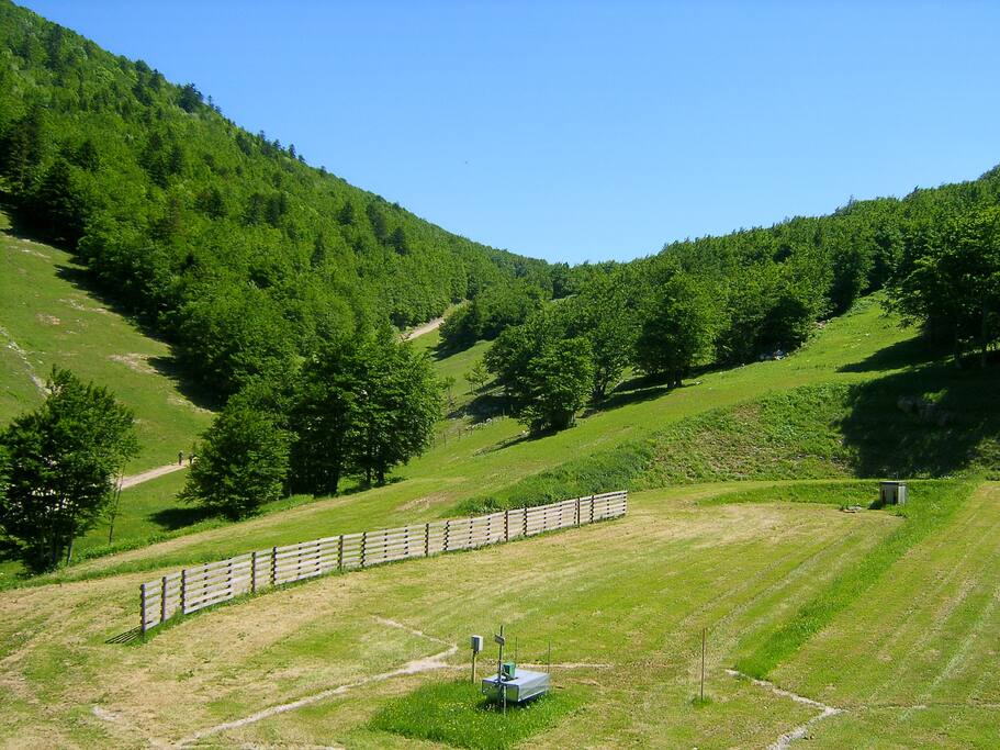 View from the balcony in summer. Large grassed garden away from cars with BBQ facilities.