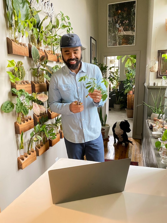 Show full-screen, host-provided image