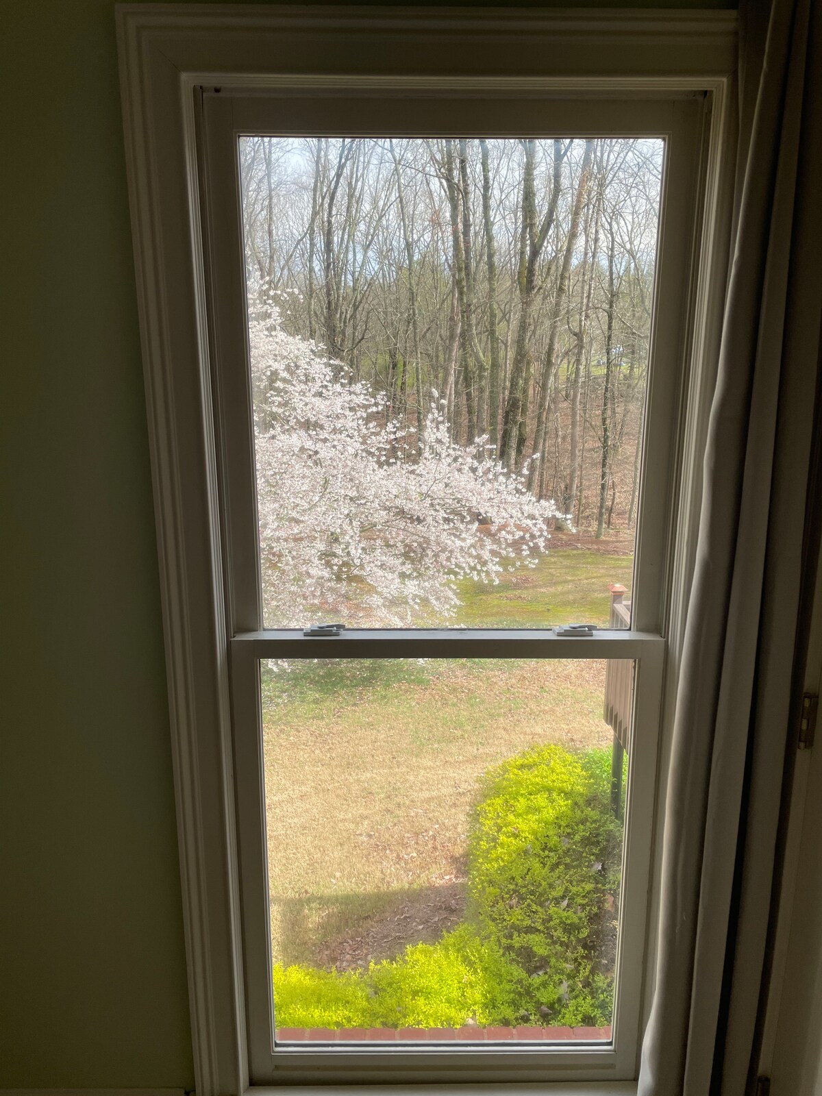 Spacious Room - Private Hallway - Garden View