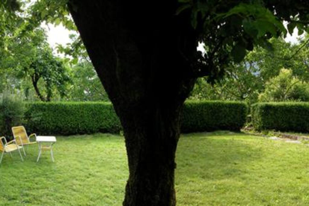 Beautiful private garden
