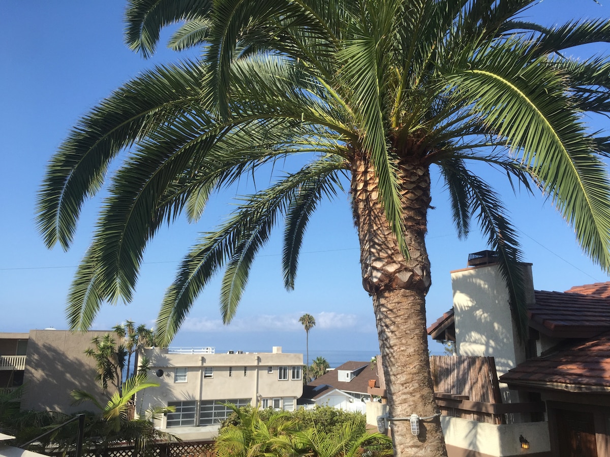 A tall palm tree stands prominently, its fronds reaching out toward a clear blue sky. In the background, ocean views are visible, framed by nearby rooftops and lush greenery that enhances the coastal atmosphere.