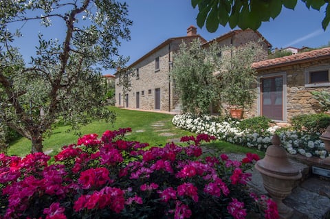 Villa in Cortona , large garden, pool with a view