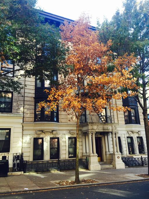 Our beautiful apartment building on treelined street 3 blocks from the subway.