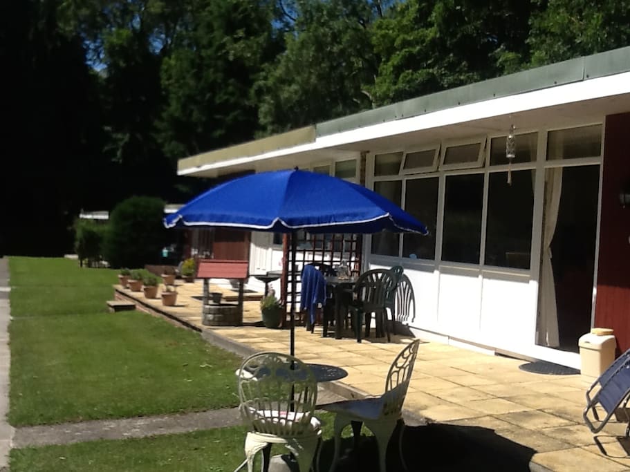 Airbnb New Quay Wales Dog Friendly Airbnb New Quay Wales Dog Friendly