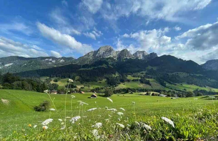 Beautiful duplex apartment