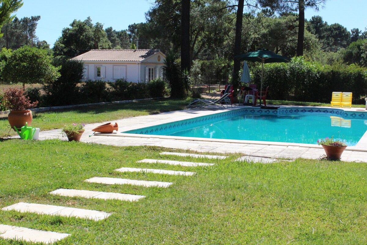 A serene swimming pool is surrounded by well-maintained green grass and stepping stones leading towards it. Sun loungers and an umbrella are visible at the poolside, offering a comfortable space for relaxation among trees and natural landscaping.
