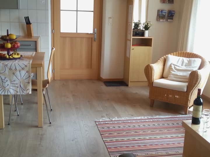 Chalet Mit Seesicht In Den Bergen Nahe Interlaken. - Iseltwald