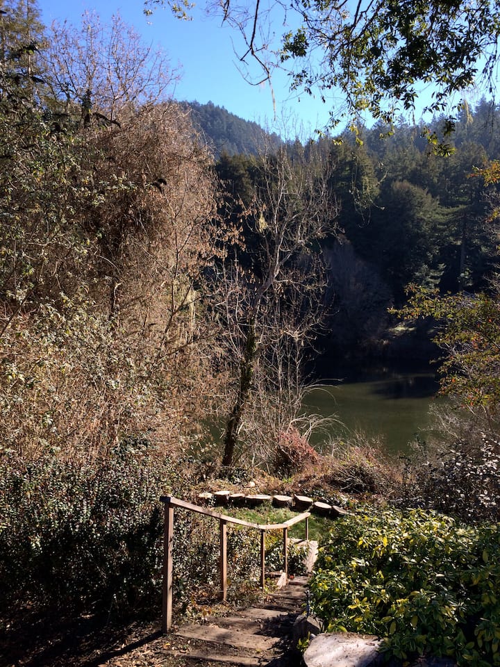 Riverside Retreat in Monte Rio Cottages for Rent in Monte Rio, California, United States