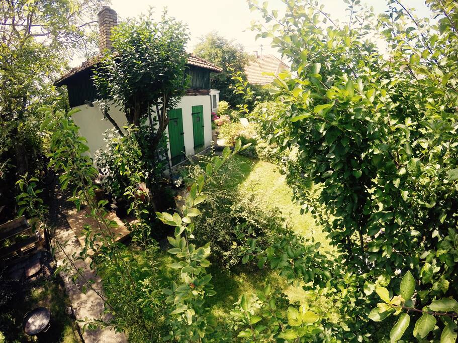 Un coin de notre jardin