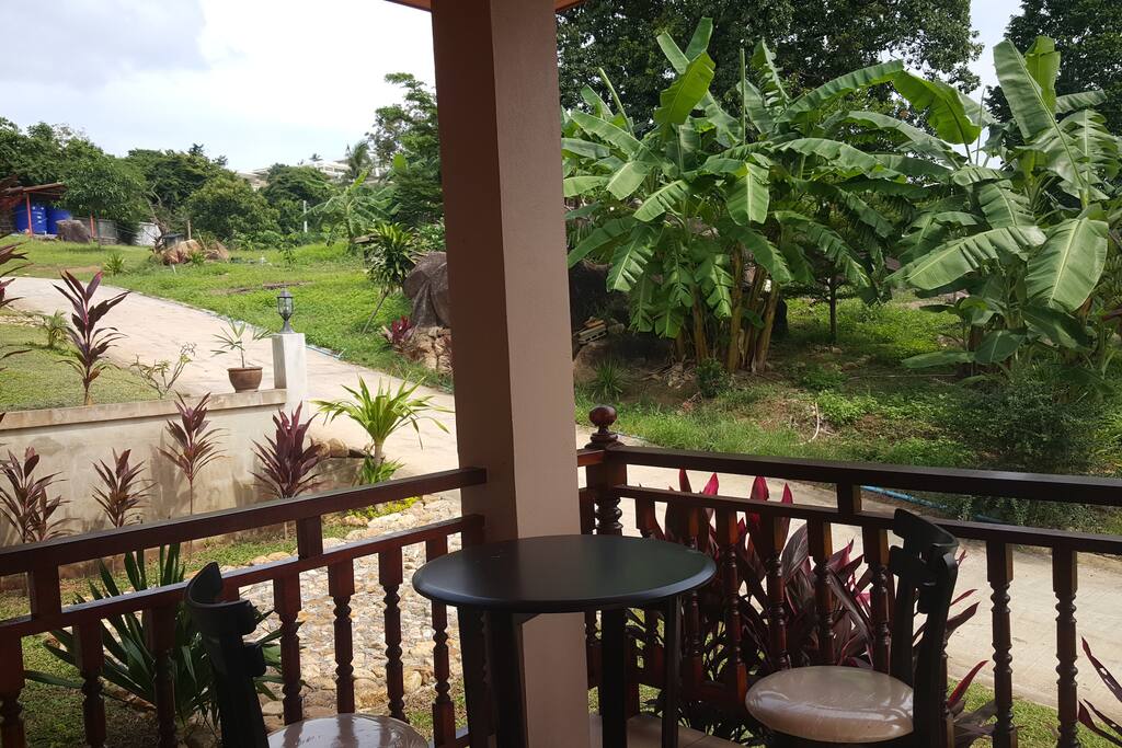 view from terrace