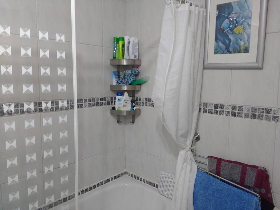 The bathroom contains both a working bath and shower