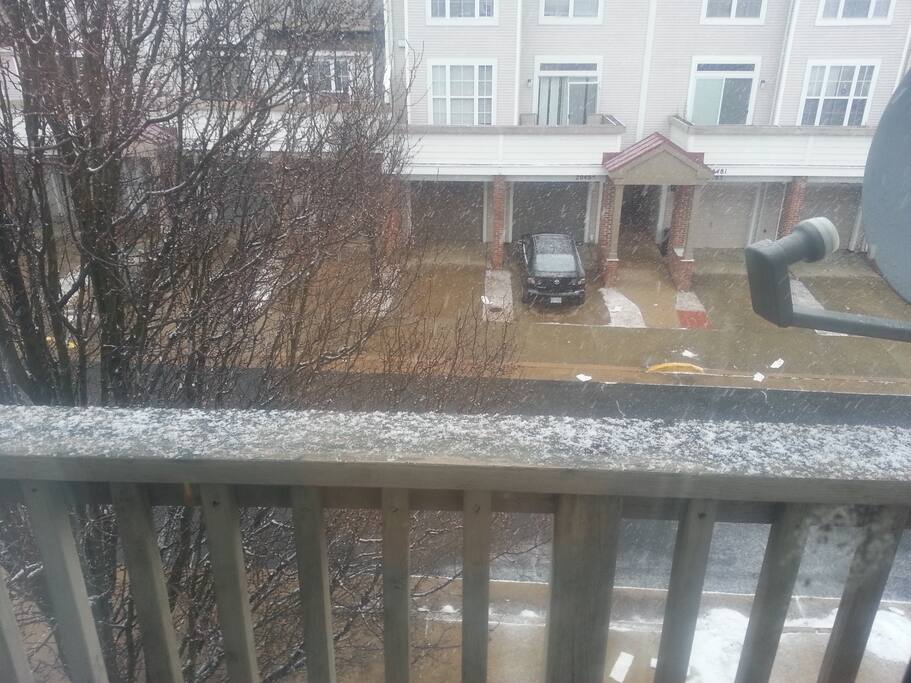 My street in January of 2016