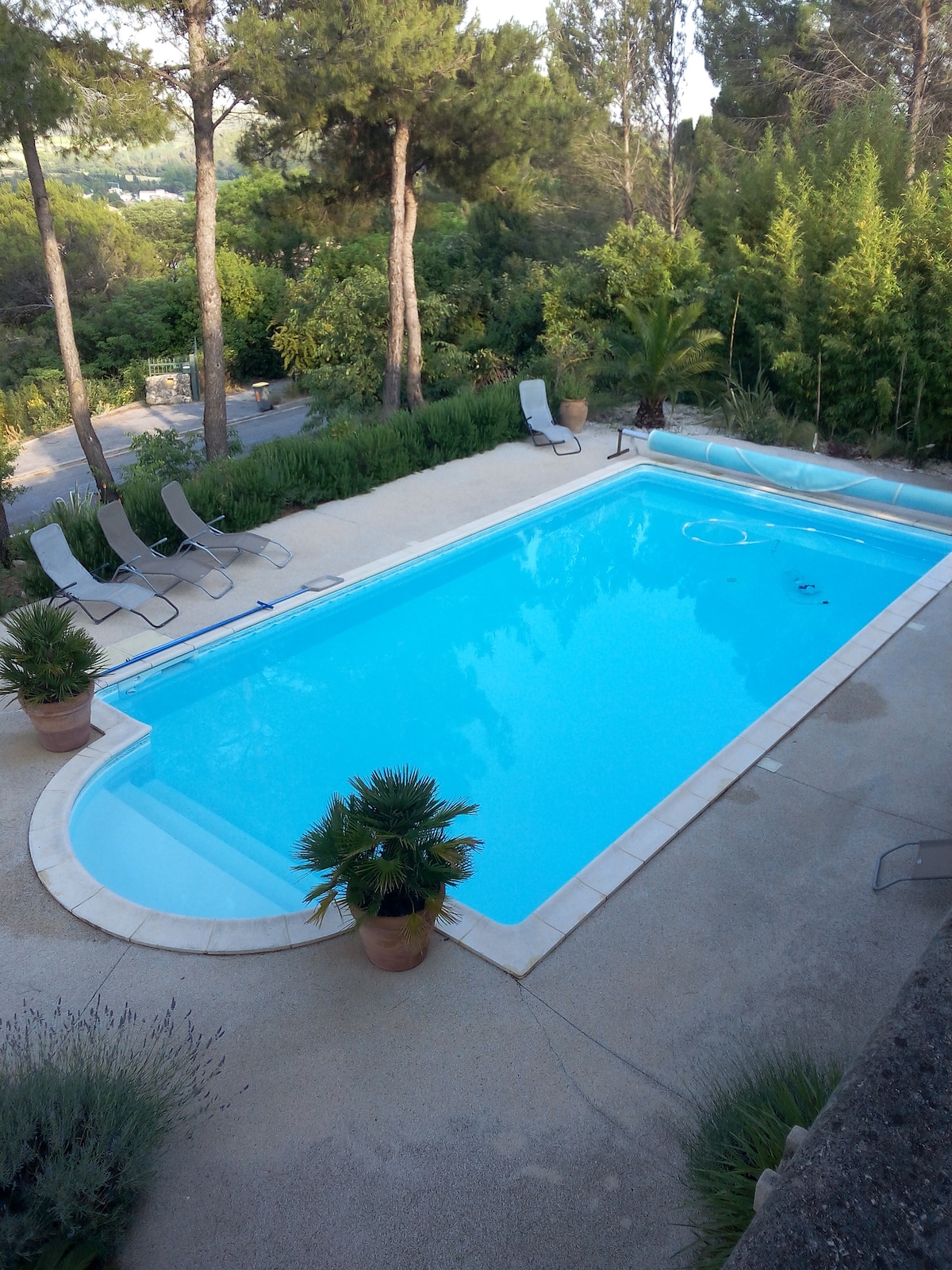 A serene swimming pool is surrounded by lush greenery and tall trees. Lounge chairs are placed thoughtfully around the pool, inviting relaxation. Potted plants add a touch of nature, creating a tranquil outdoor setting.