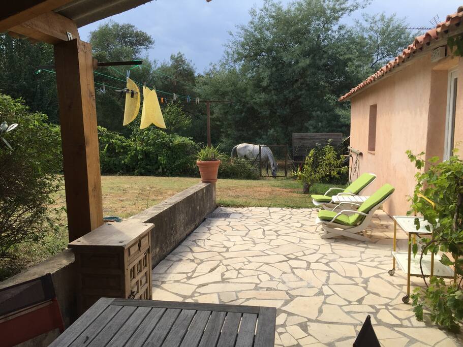 expo sud sud ouest