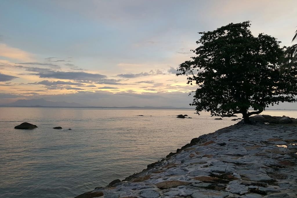 How about your morning stroll during this daily beautiful sunrise?