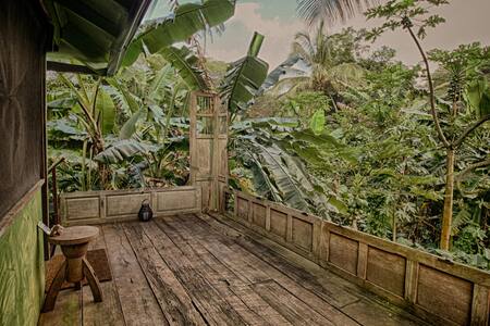 Treehouse just up from the beach - Kilauea - Casa sull'albero